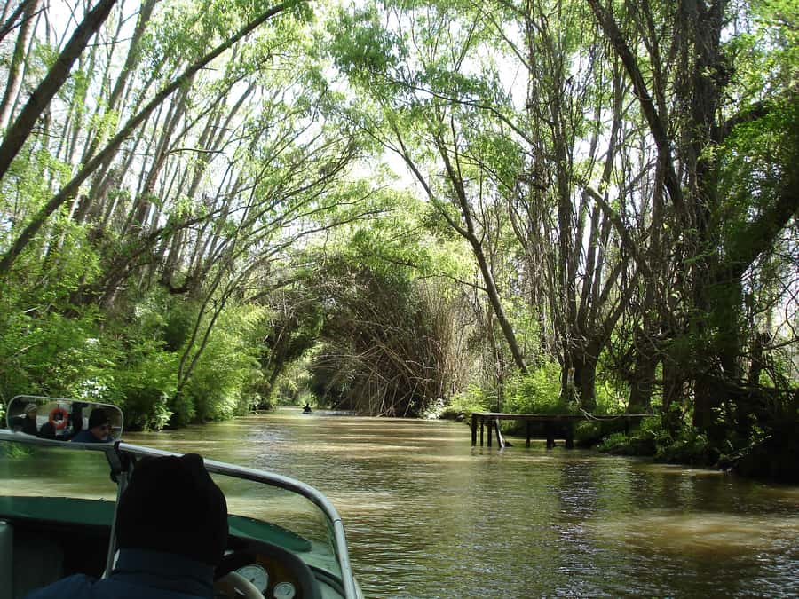 Navigation in Delta of Tigre - Exclusive semi private tour - Why the Tigre Delta feels different from Buenos Aires