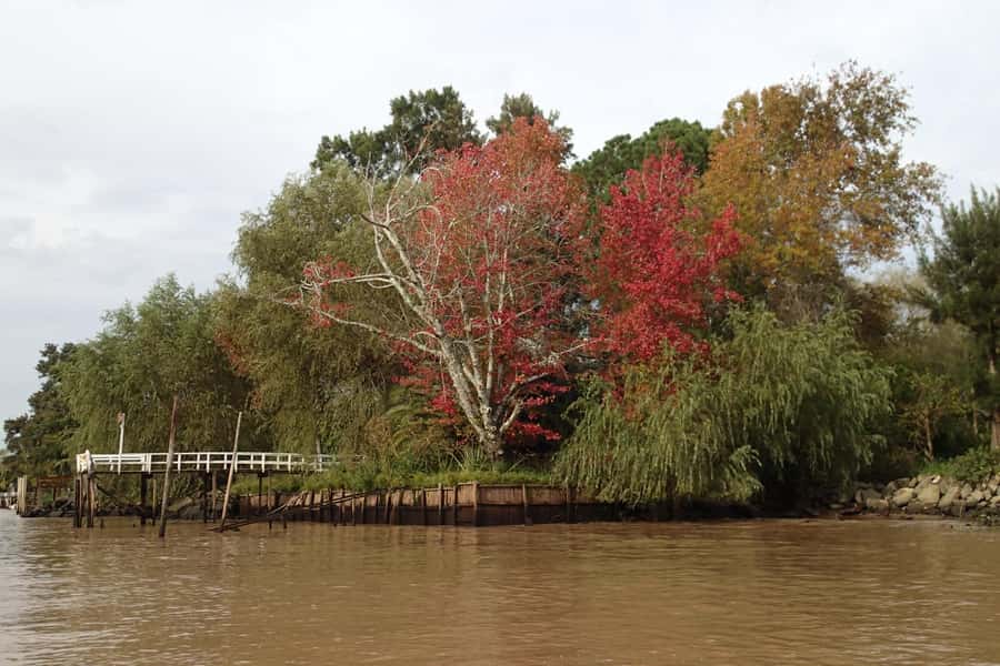 Navigation in Delta of Tigre - Exclusive semi private tour - A quieter side of the delta, with room for questions