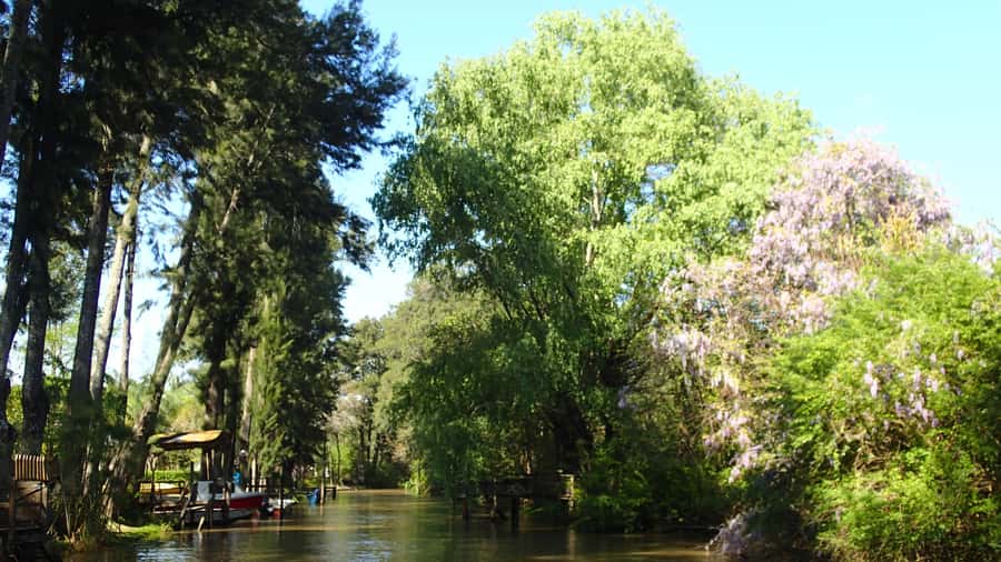 Navigation in Delta of Tigre - Exclusive semi private tour - Who should book this half-day outing