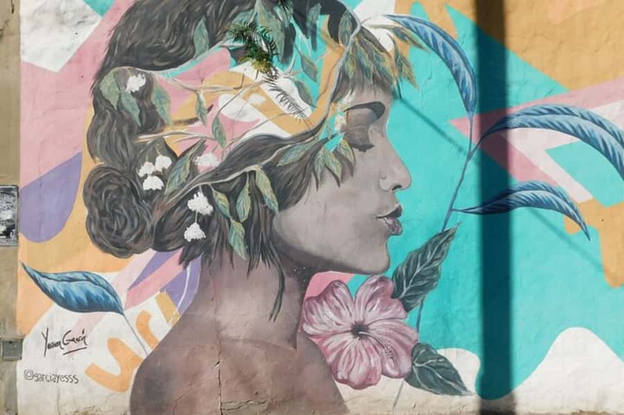 Premium Argentinian Wine and Malbec Tasting & Urban Art Tour - Why Palermo Soho makes a useful wine-tasting base