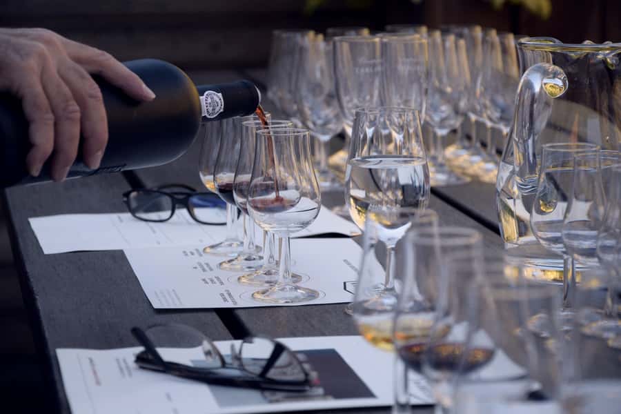 Premium Argentinian Wines and Malbec Tasting Experience - Who should book this experience?