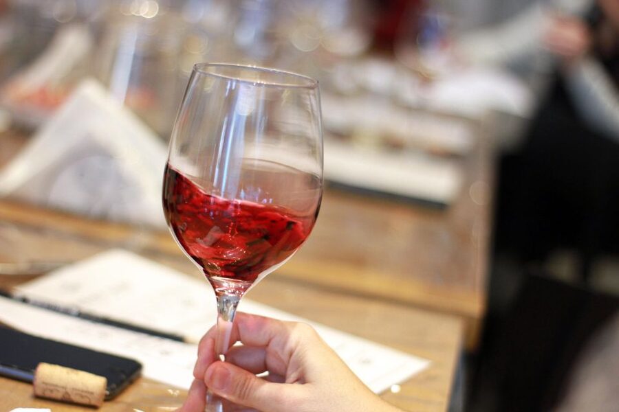 Premium Empanadas Cooking Class & Wine Tasting Experience - Who will enjoy this most
