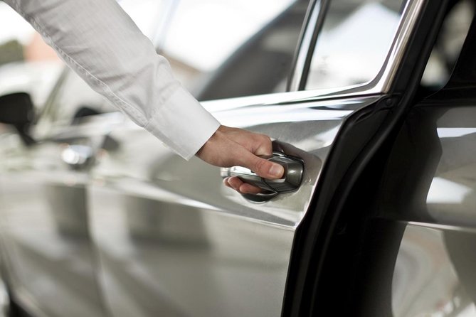 Private Arrival Transfer: Ezeiza Airport to Buenos Aires Hotels - Who should book this transfer?