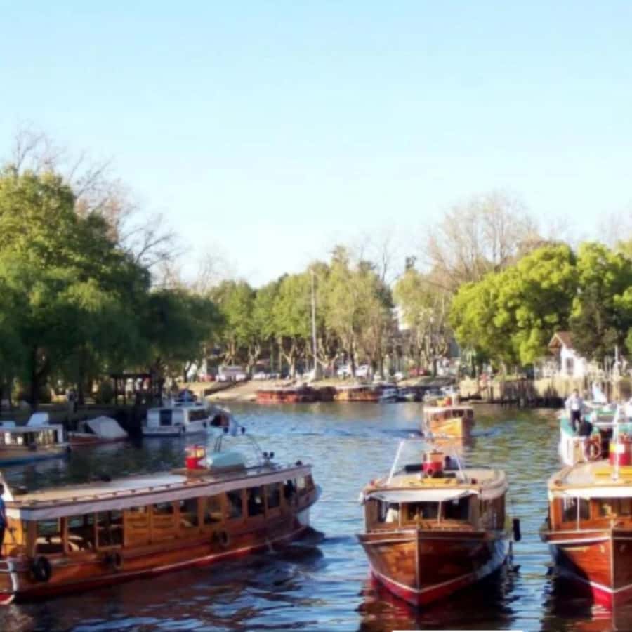 Private City Tour of Buenos Aires + Tigre Delta - Guides, language, and the private format