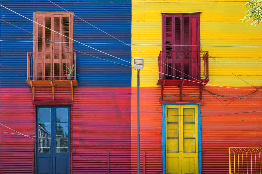 Private Street Art Tour in Buenos Aires - Reading Buenos Aires through its walls
