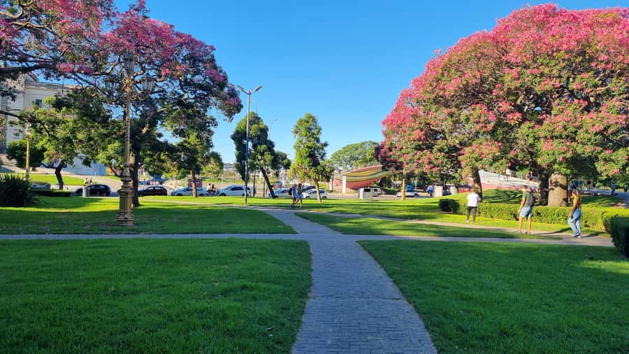 Recoleta Walking Tour and Live Jazz Show - Starting at the National Museum of Fine Arts