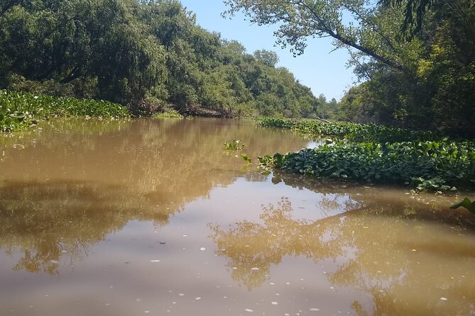 Safari náutico en tigre - Paraná de las Palmas and the two Delta sections