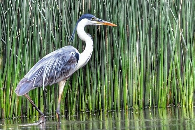Safari náutico en tigre - The guides and the value of a private outing