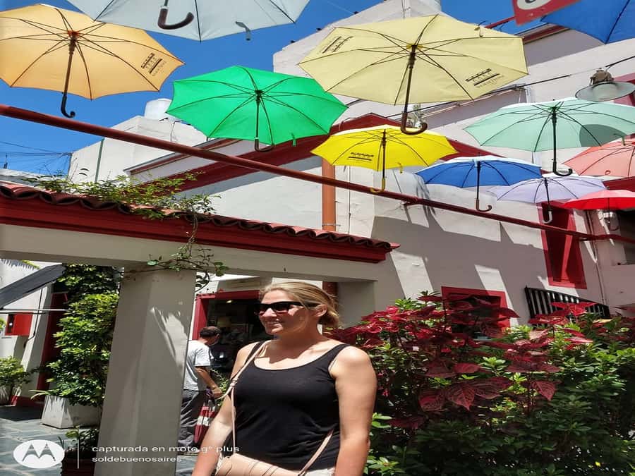 San Telmo Private Guided amazing Walking Tour - Starting with San Telmo Market