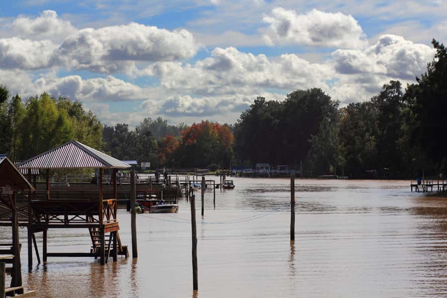 Tigre: River Delta Panoramic Boat Tour - Boarding at Tigre’s Fluvial Station