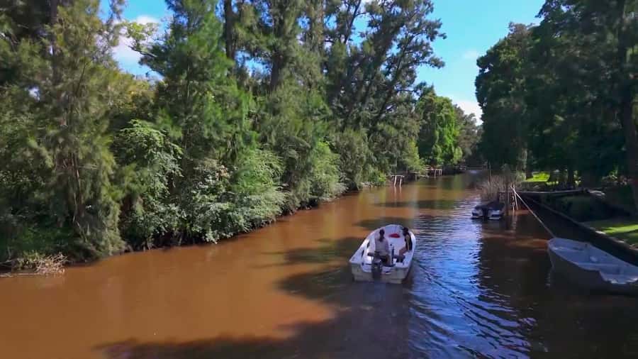 Tigre: Safari Náutico en Tigre/ Biosphere Reserve Boat Tour - Why Tigre’s Delta deserves a half-day