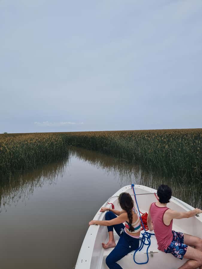 Tigre: Safari Náutico en Tigre/ Biosphere Reserve Boat Tour - Reading the wetlands at the Delta observatory