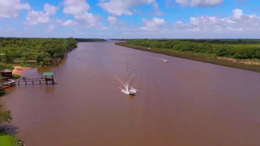 Tigre: Safari Náutico en Tigre/ Biosphere Reserve Boat Tour - Tres Bocas and the first quiet channels