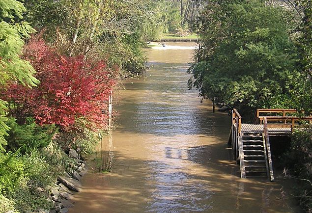 Tigre with Lunch overlooking the River and Navigation - What the $200 price really covers