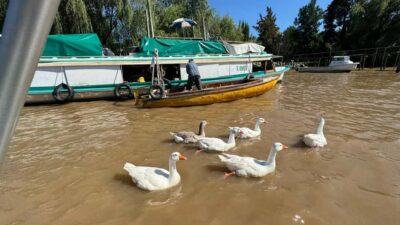 Unique Tigre and Delta Private Day Cruise Navegation