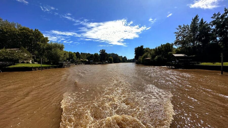 Unique Tigre and Delta Private Day Cruise Navegation - Arriving in Tigre and browsing Puerto de Frutos