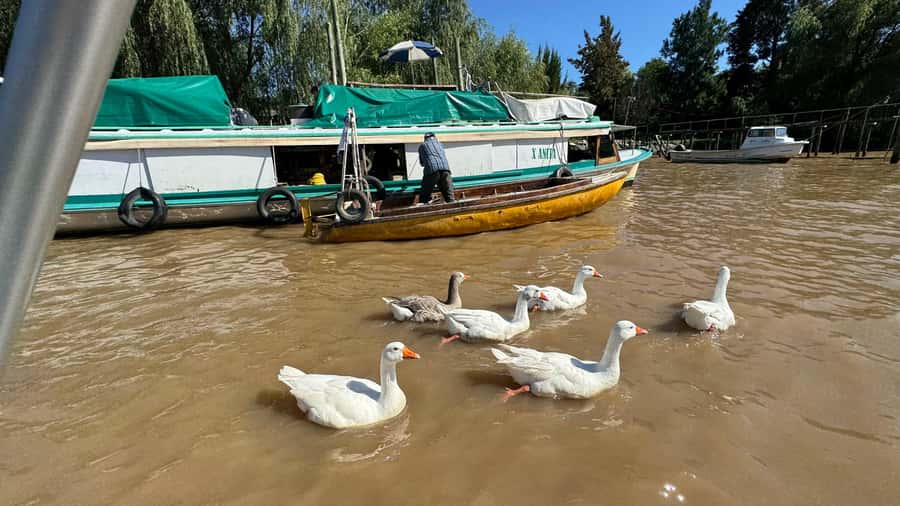 Unique Tigre and Delta Private Day Cruise Navegation - Leaving Buenos Aires in a private vehicle